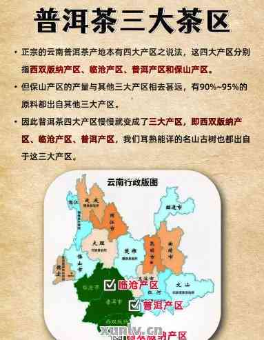 普洱茶产区的详细分类及特点解析：了解不同产区茶叶的品质与区别