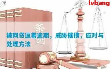 了解网贷逾期清算处理：原因、影响和应对策略，以确保您的权益不受损害