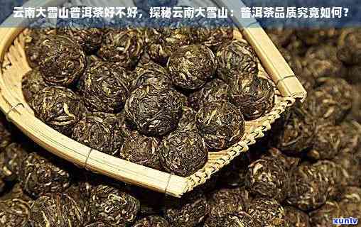  雪山印象普洱茶圆茶：品质、口感、产地与泡法全方位解析