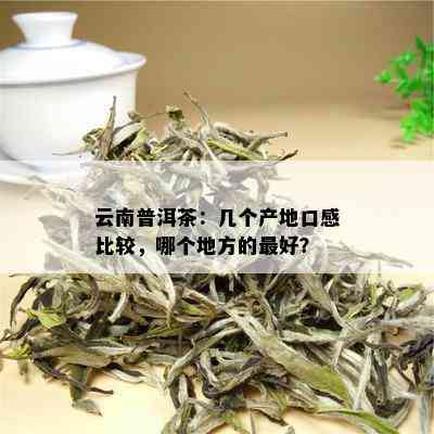 普洱茶哪个地区比较好：云南七子饼茶与临沧大叶种晒青茶口感更佳