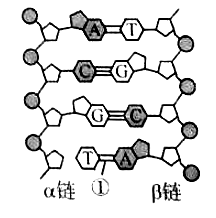 独龙玉成分的构成及其形成原理