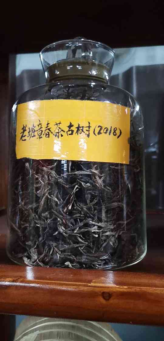 千年古树普洱茶12