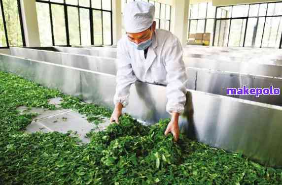 云南省勐海县天缘茶业的普洱茶：记秘制茶