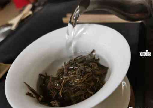 冬天如何泡好普洱茶