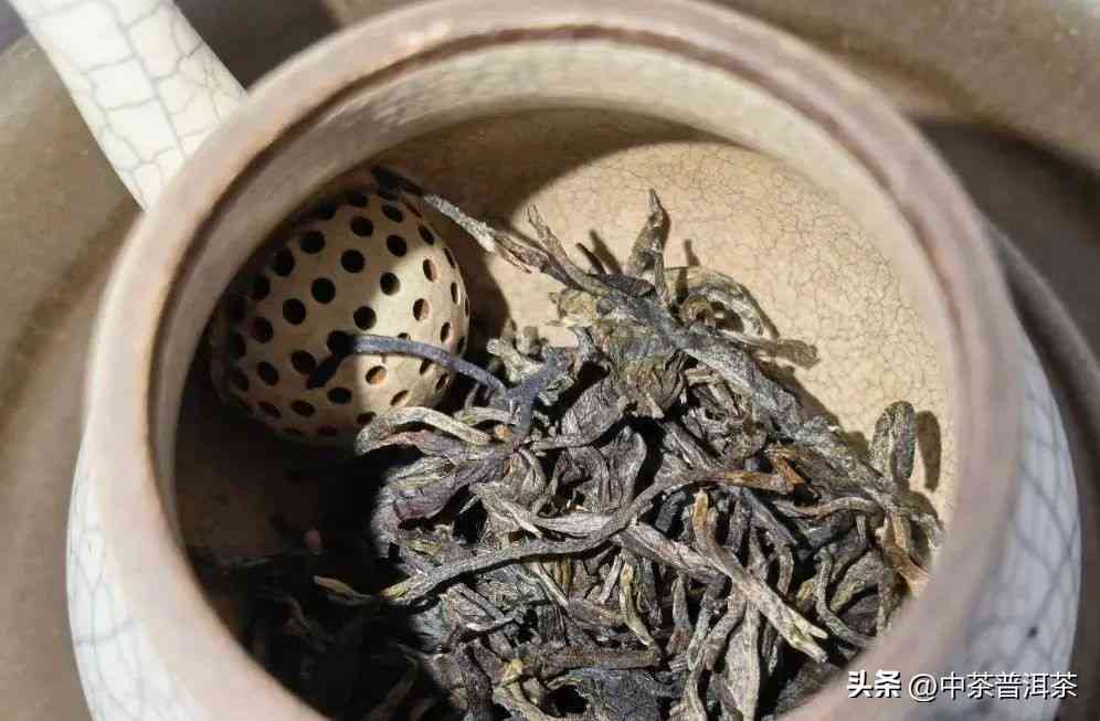 如何辨别生茶、熟茶与陈化普洱茶？深入了解普洱茶的三大类型区别