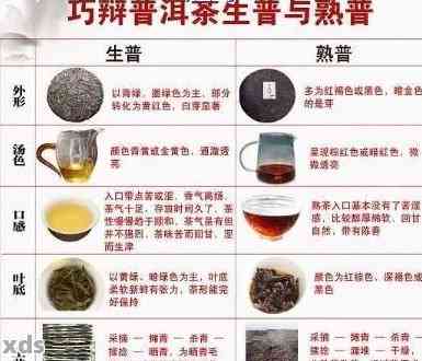 怎么品普洱茶的香气