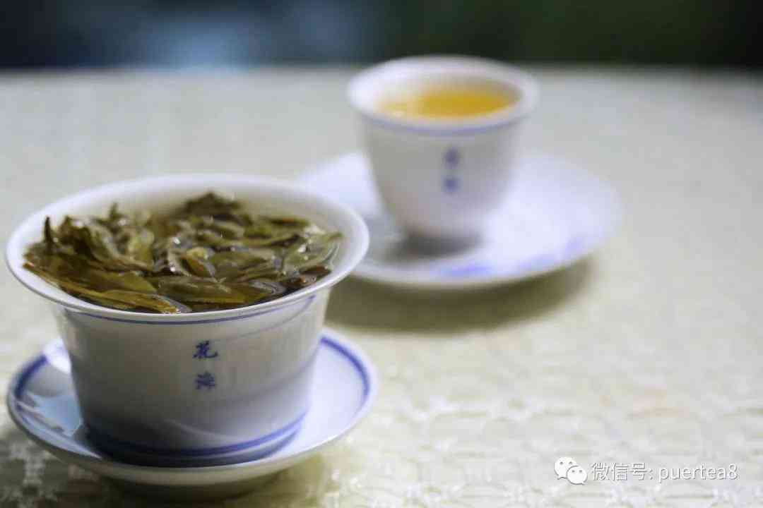 新古树普洱茶高杆茶品，每一口都是岁月的味道，你知道它们的价格吗？