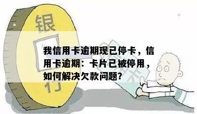 您的信用卡逾期已导致停卡，这里有一些建议来解决您可能遇到的问题