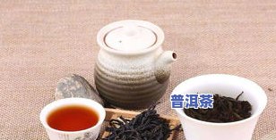 普洱茶生茶与熟茶系列对比：哪款更好喝？推荐你的选择