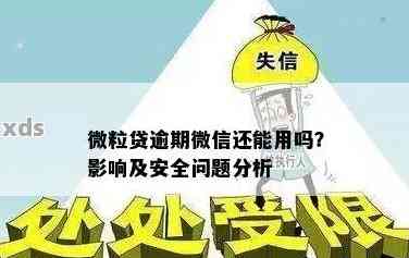 了解微粒贷逾期的严重性及应对措