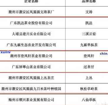 潮州中茶股份：茶叶产业领导者的招聘与待遇信息解析