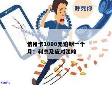 信用卡逾期还款1000多元的后果与解决办法：信用修复全攻略