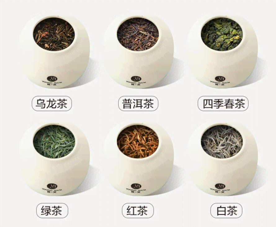 普洱茶何作如何制作？普洱茶的制作步骤是什么？