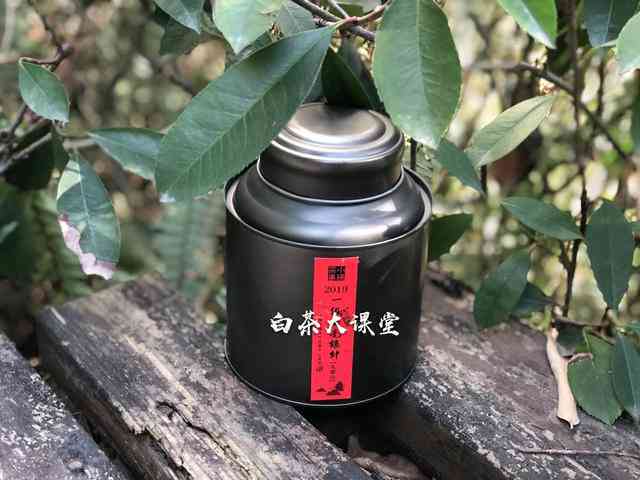 普洱饼茶与散茶的区别：哪个更好喝？