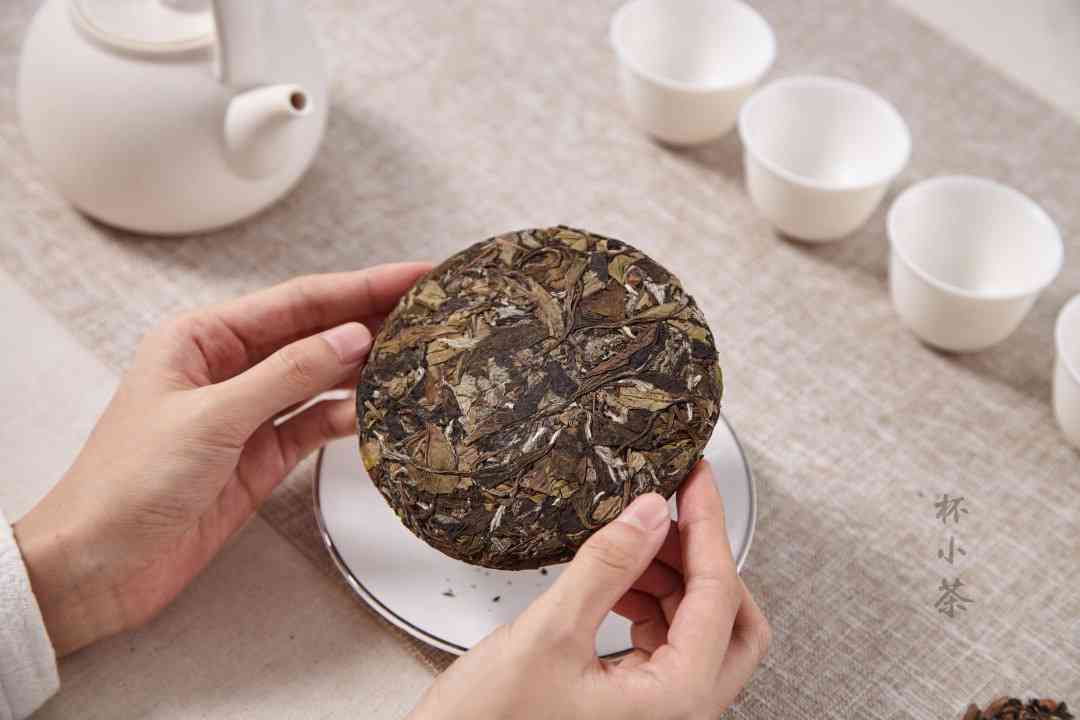 普洱饼茶与散茶的区别：哪个更好喝？