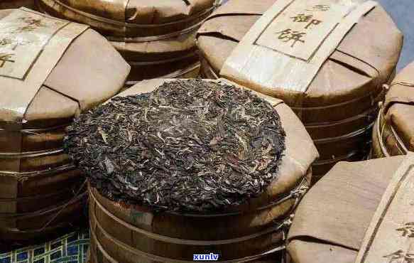 普洱饼茶与散茶的区别：哪个更好喝？