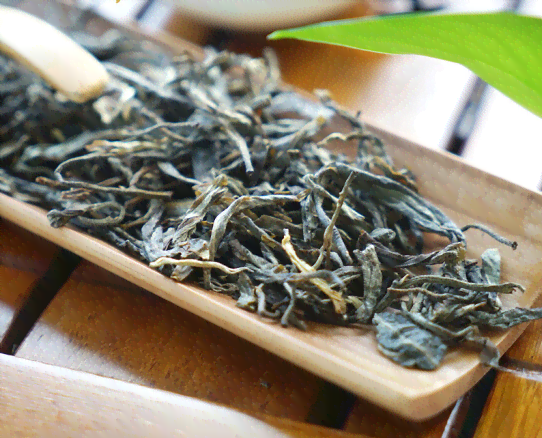 易武老树普洱茶生茶100g