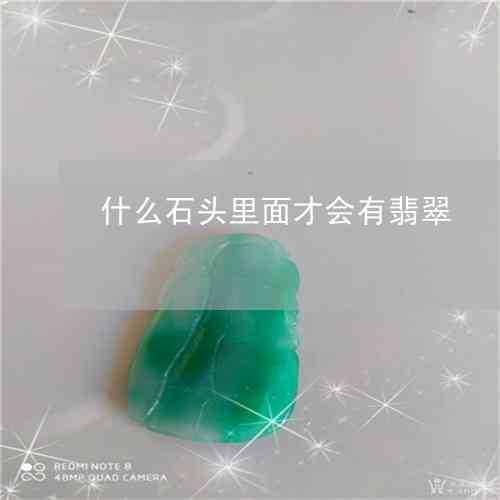 哪种石头含有翡翠