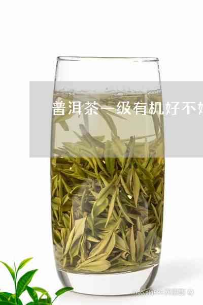 纯有机普洱茶好不好