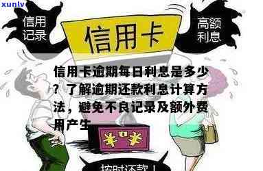 信用卡逾期利息计算方法：详细步骤与解析