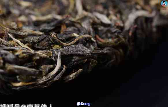 包普洱茶的笋壳已经有虫粉了，需要拆掉吗？为什么。