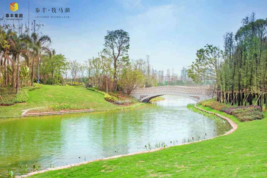 12生肖普洱茶饼的升值空间：收藏意义与市场前景分析