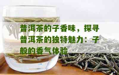 有子香的普洱茶是哪种茶叶做的？这种茶怎么样？