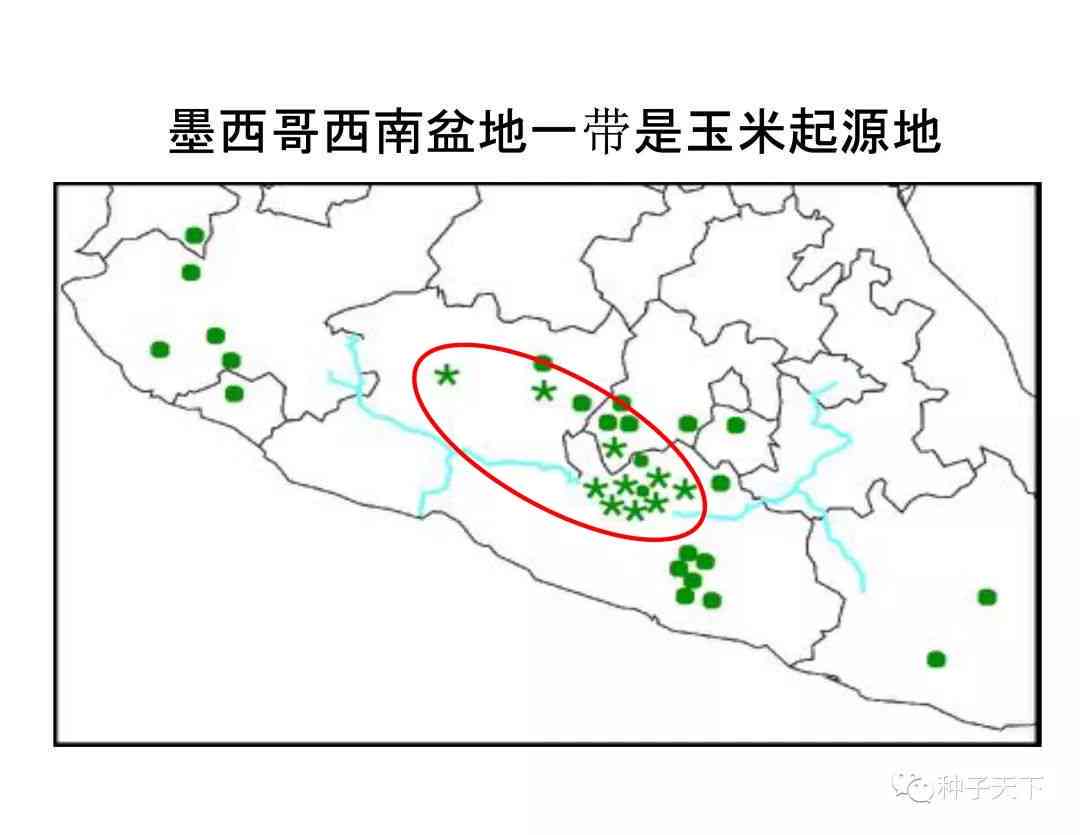 探索文山玉石加工产业：地理位置、技术发展与市场前景