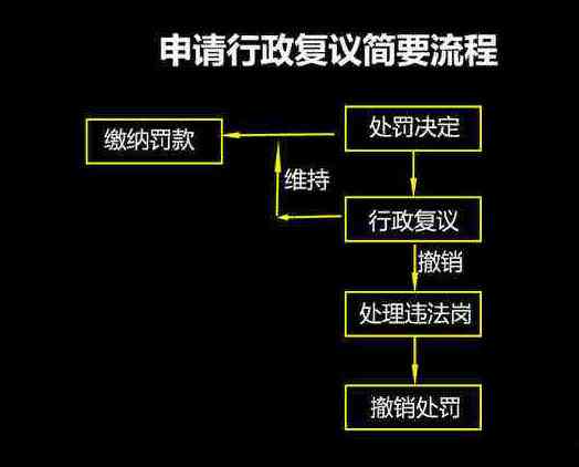 '人民行政机关逾期提交证据的复议决定分析与探讨'