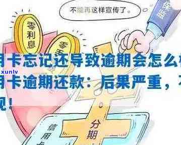 新当信用卡和小贷都逾期了，该如何应对与解决？