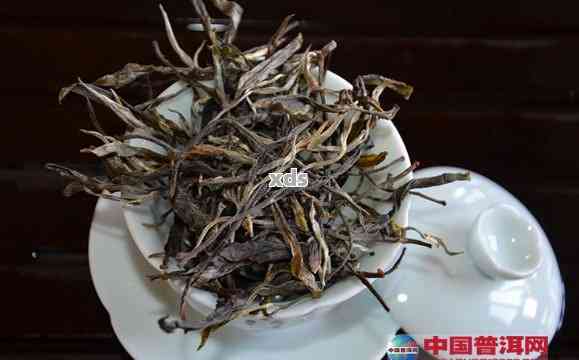 探索小班章茶的价值与特点：普洱茶新视角解析