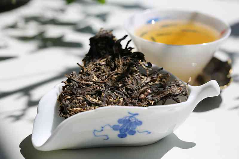 新     茶普洱茶生茶