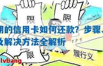 怎么还信用卡逾期的钱