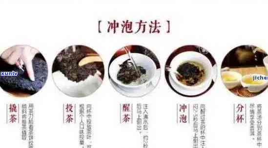 普洱茶的多重保健功效：从饮用到预防抑症的全方位解析