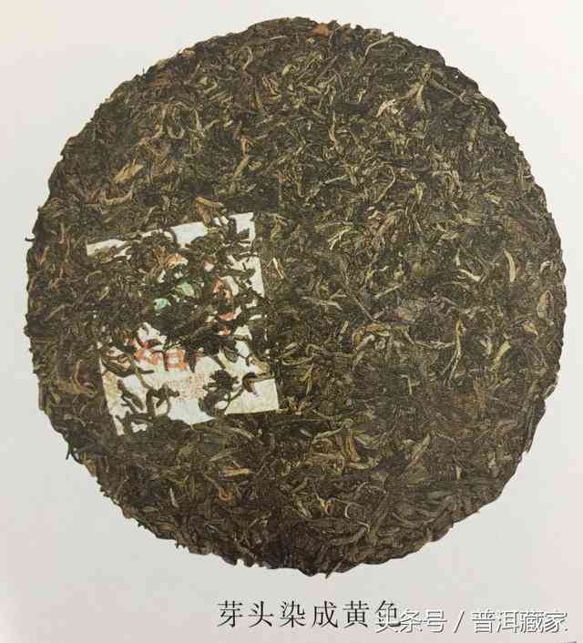 掌握图解方法，轻松辨别普洱茶真伪：检测与鉴别指南