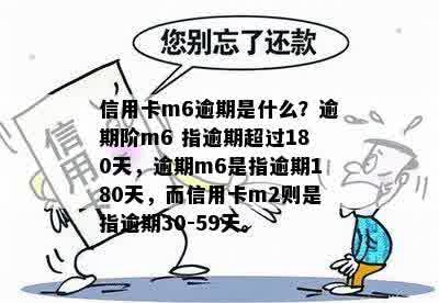 信用卡逾期等级M2解析：如何理解和处理不同级别？