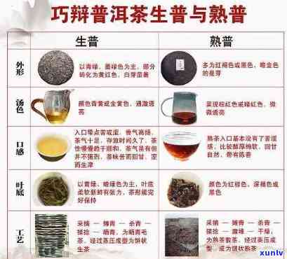 全面解析：普洱茶品种与选择指南，助你找到最适合自己的好茶