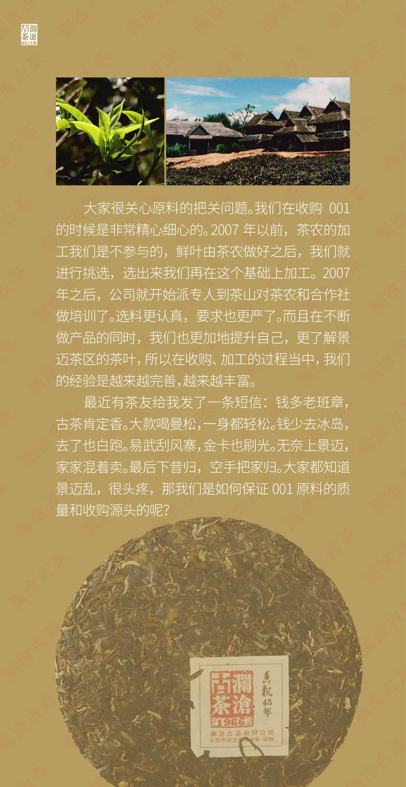 澜沧古茶有望成普洱茶之一股