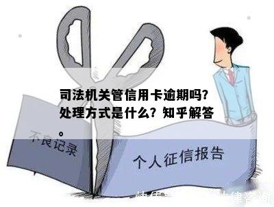 司法管理信用卡逾期问题：当地司法机关是否介入处理信用风险？