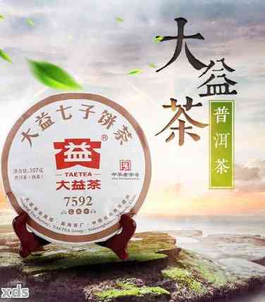 大益普洱茶销售模式分析：了解大益普洱茶的营销策略与实践。