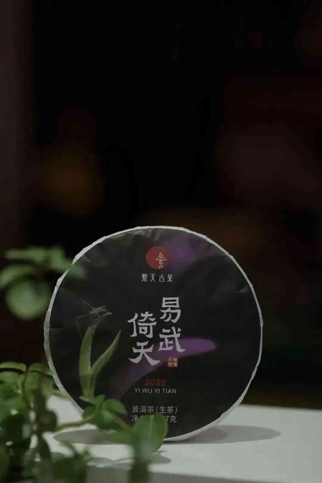 全面比较：哪个的普洱茶性价比更高？