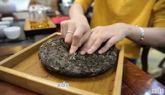 普洱茶饼熟茶的品饮方法与技巧：如何正确品尝和冲泡，以及适合搭配的食物