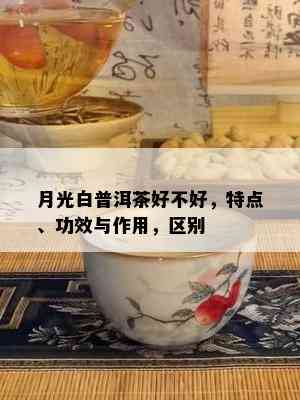 新探索普洱茶与白茶的融合之美：月光白茶的独特魅力与功效