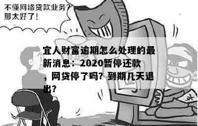 出台暂停还款的政策了吗