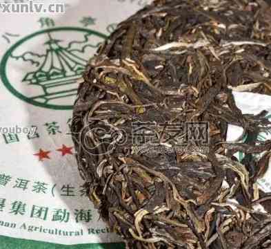 普洱茶攸乐山2008年生茶口感特点及价格