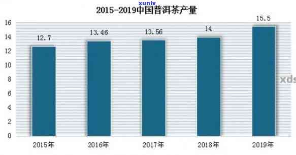 普洱茶生熟之争：哪个更具投资价值与市场潜力？