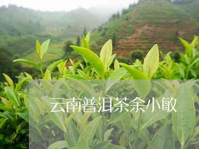 小余的普洱茶能喝吗