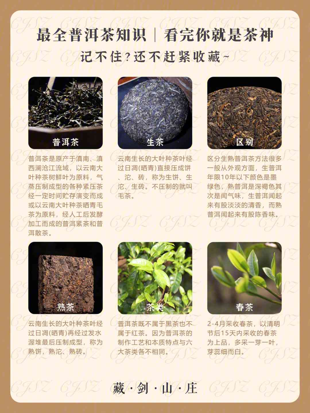 普洱茶王朝系列介绍