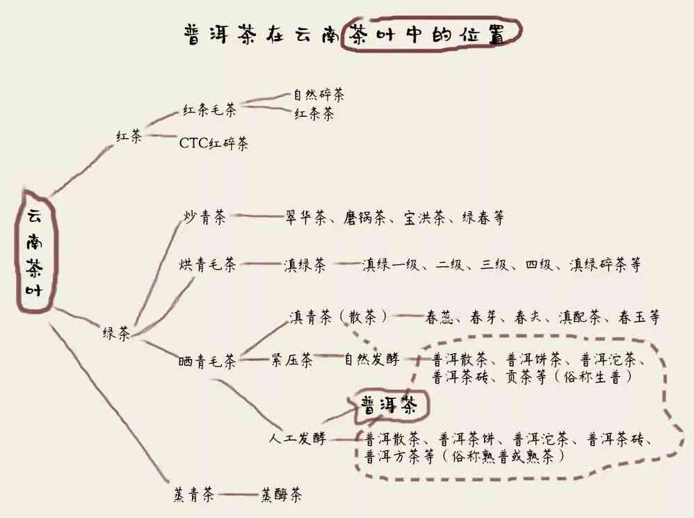 普洱茶王朝系列介绍