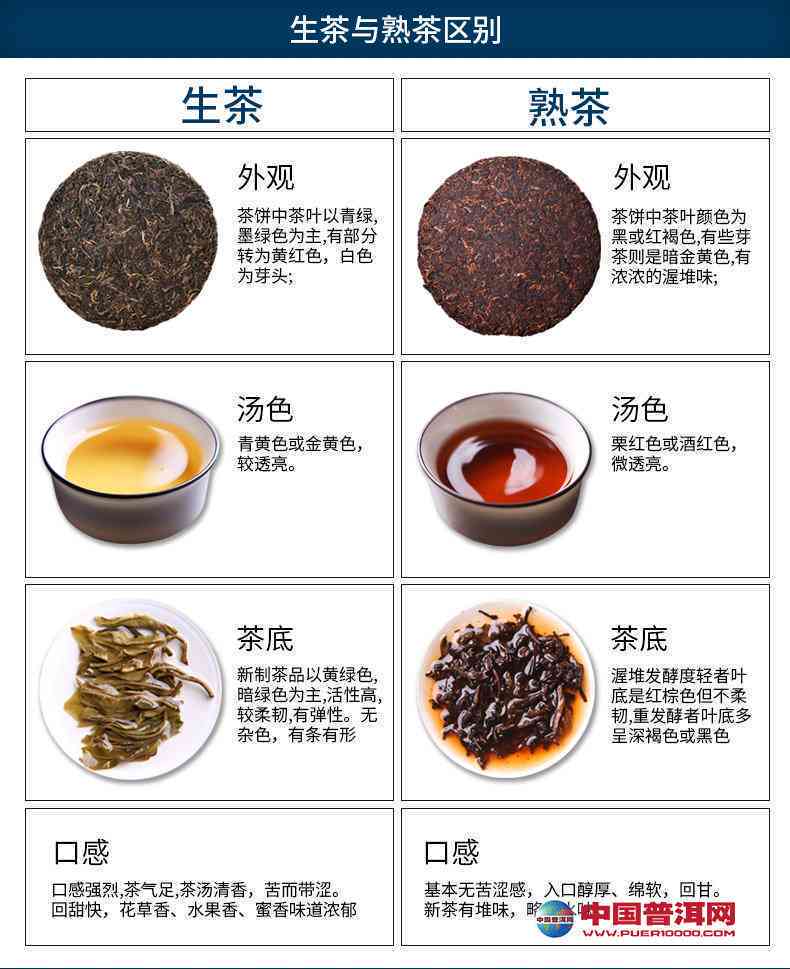 普洱茶生熟对比：哪一种更适合你？